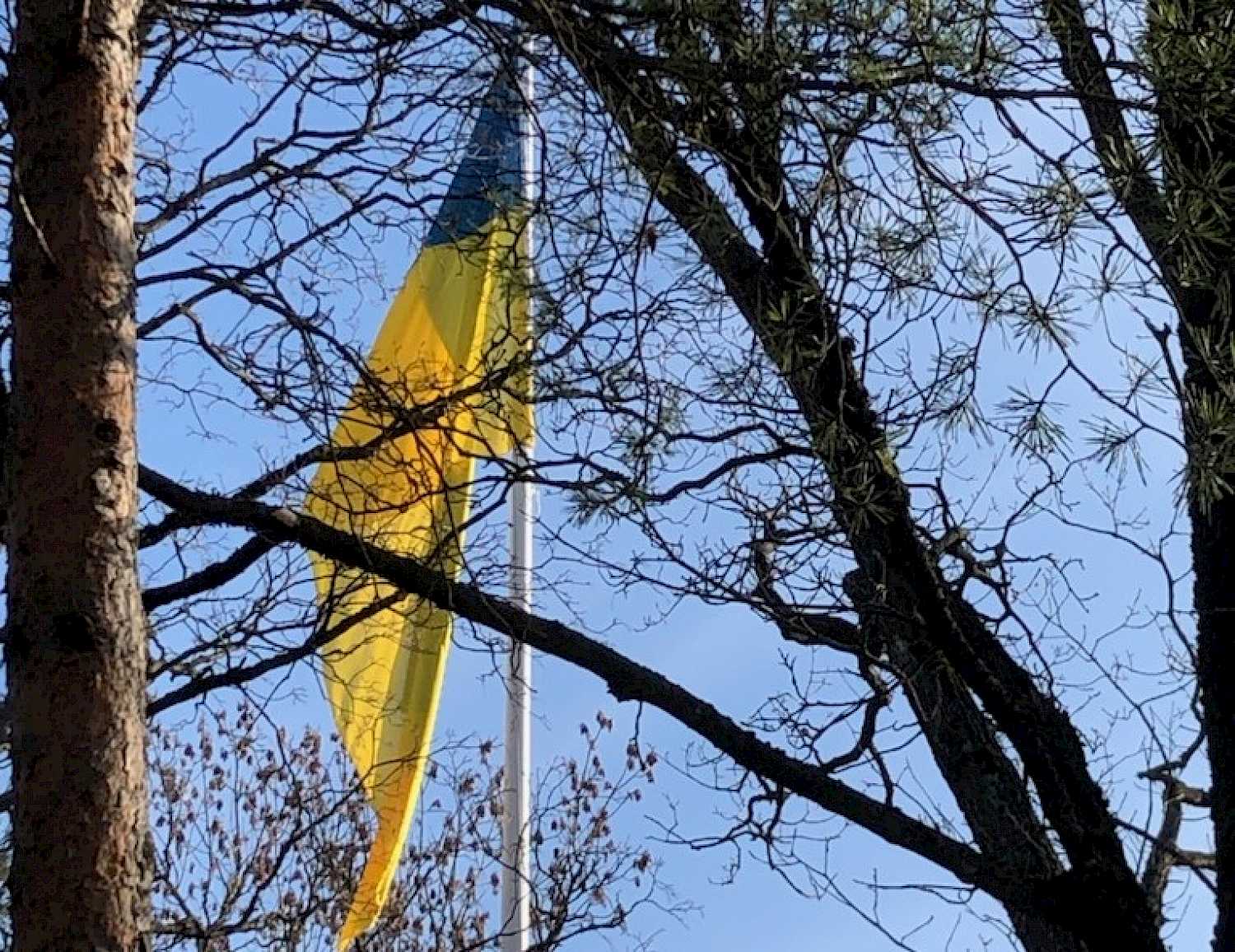 Det Ukrainske flagget vaier på Diakonhjemmet